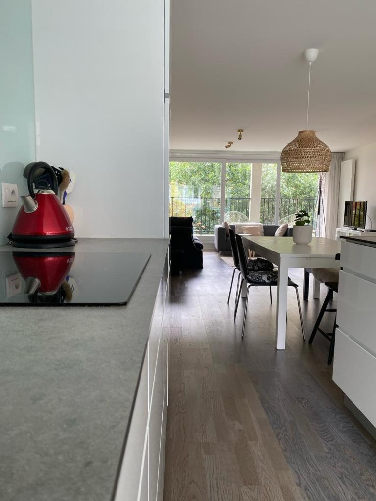 Recent En Lichtrijk Duplex-Appartement Te Wenduine Kültér fotó